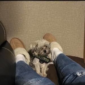 Meet your Posher, Meredith